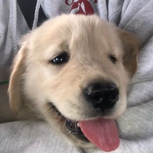 Meet your Posher, Nick